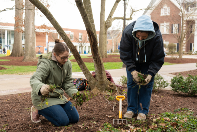 A college gardening group is bringing native plants back and ‘rewilding’ New Jersey — NPR.org